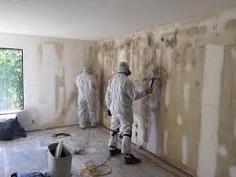 Best Emergency Mold Remediation  in Harrisville, UT